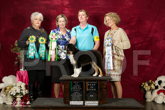 _ST_3025-BeltonJan2015IABCA-HR3