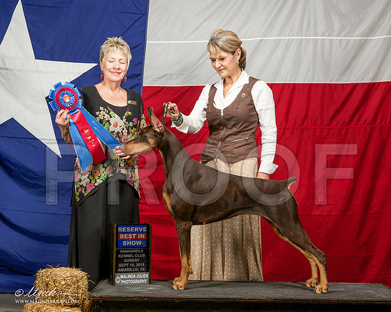 _ST_2156-AmarilloSep2014-HR3
