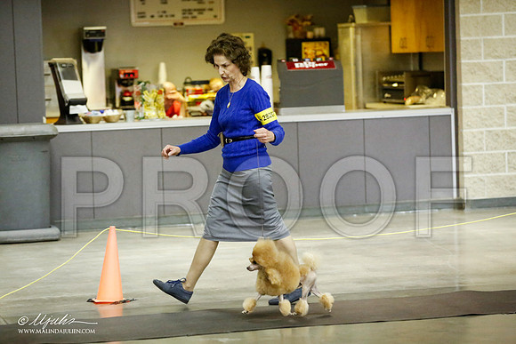 _JJ_5471-BeltonJan2015IABCA-HR3
