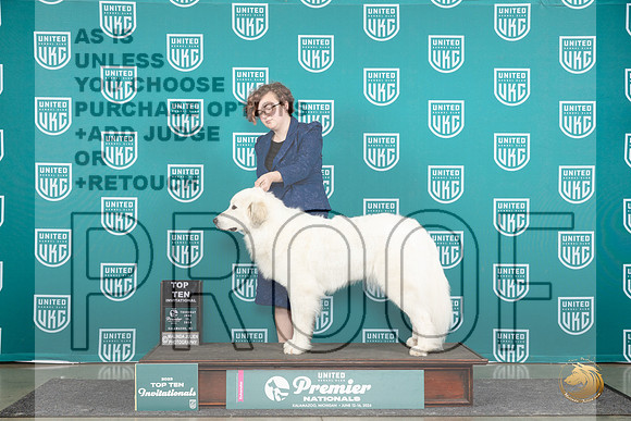 Great Pyrenees #589 Thur T10BOB Judge Diane Price__JP_1192_Premier_2024_HR3