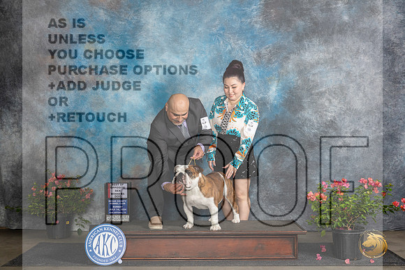 Bulldog #5 Sun WDBOS Judge Christie Martinez__JP_5834_San Antonio_2024_HR3