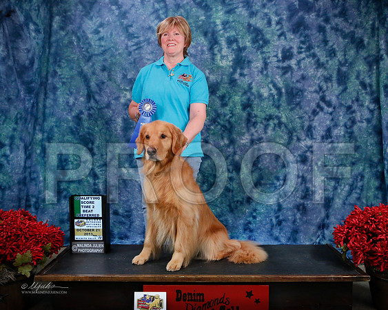 T2BPref-8856-WFOct2013-HR