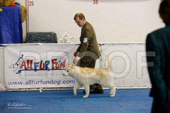 _M3_8223-AddisonHuskyMar2015-HR3