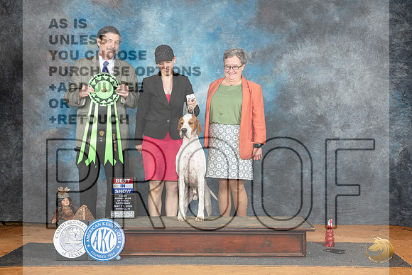 Pointer #5 Sat BIS Judge Jim Fehring__JP_8330_MARSHALL_2024_HR3