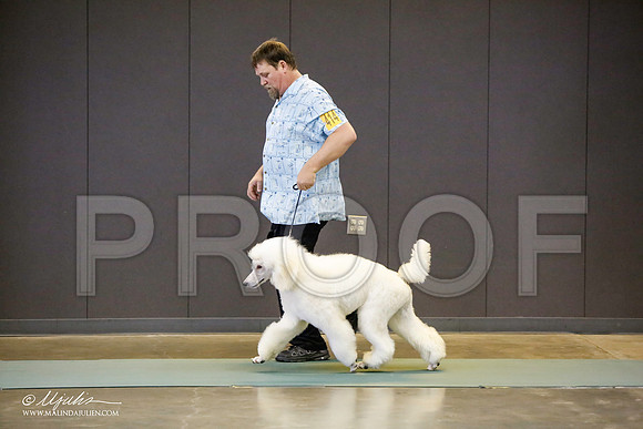 _LH_3331-BeltonJan2015-HR3