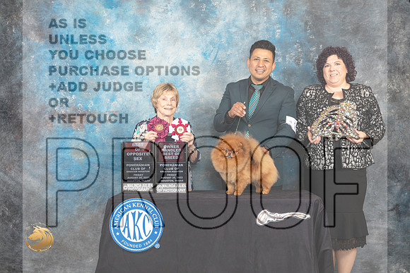 Pomeranian #12 Fri2 BOSOHBOB Judge Sharon Masnick_MJ_9762_HstnTOY_2022_HR3