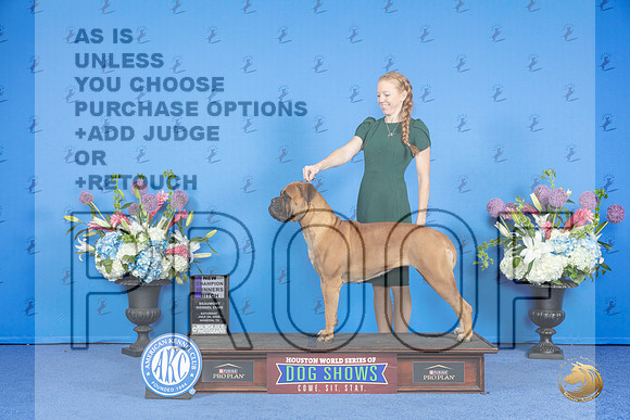 Bull Mastiff #10 SAT WB NC Judge Jon Cole__JP_0038_Houston_2024_HR3