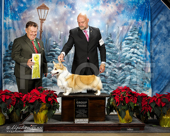 _ST_8359-DallasDec2014-HR3