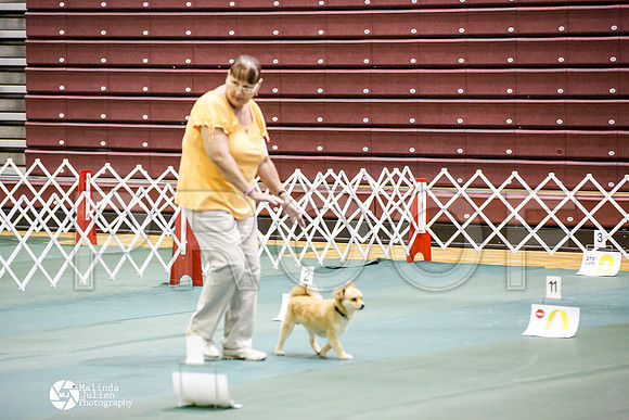 _JJ_4322-BsrCtyJun2014-HR3