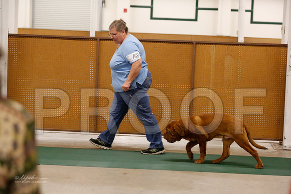 BISpup-1074-NormNov13-HR
