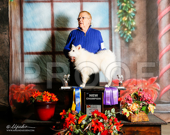 _ST_7169-2-NrmnNov2014-HR3