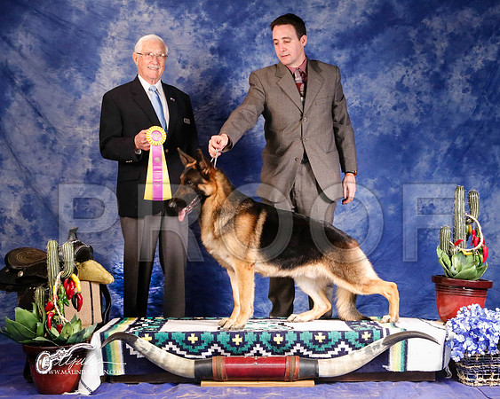 GSD-0373-GRJan14-HR