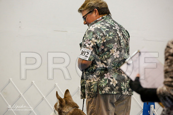 _M3_7454-AddisonHuskyMar2015-HR3
