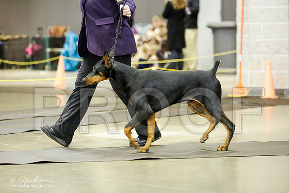 _RH_1585-BeltonJan2015IABCA-HR3