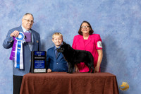 #17 BOW Judge Donald Gill