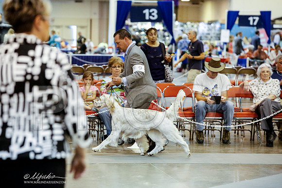 _JJ_4117-HstnJul2014-HR3