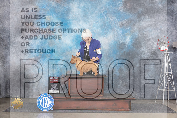 Norwich Terrier #6 Fri G2 Judge Jon Cole__JP_5434_Amarillo_2024_HR3
