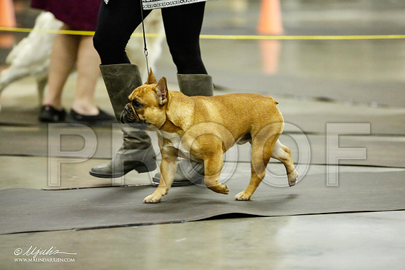 _JJ_5553-BeltonJan2015IABCA-HR3