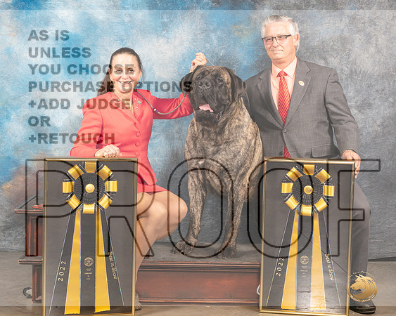 Mastiff #5 BISx2MMJ_5918_Mdlnd2022_HR3