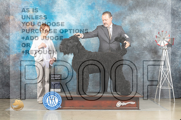 Black Russian Terrier #5 Thur G4 Judge Sharon Derrick_MJ_3722_Amarillo_2022_HR3