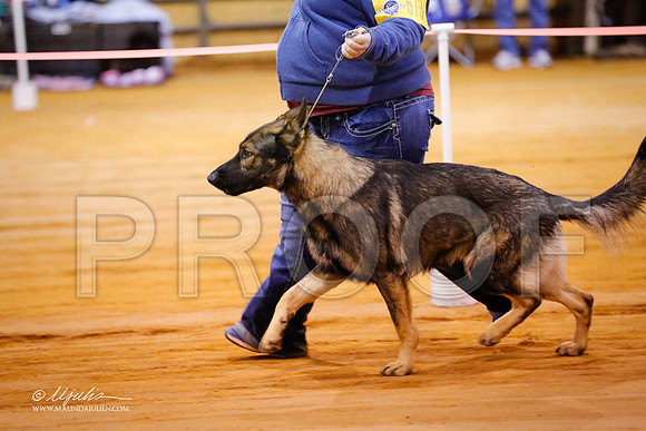 GSD-9178-MrshllDec13-HR