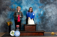 Maltese #5 Sun G2  Judge Vicki Abbott