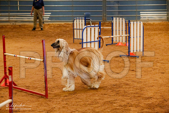 _JJ_5861-AfgBeltonOct2014-HR3