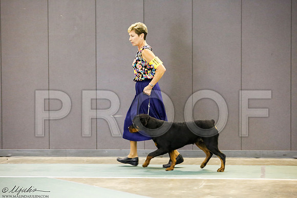 _J3L3192-BeltSep2014-HR