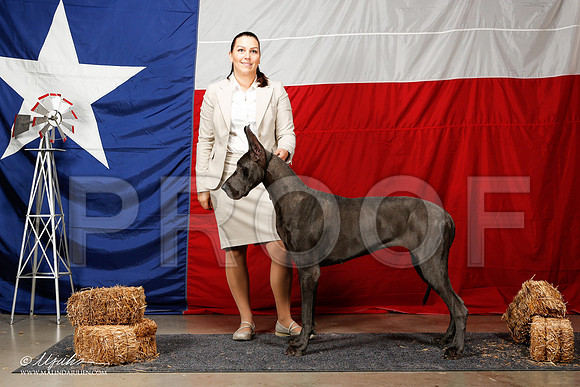 _ST_1956-2-AmarilloSep2014-HR3