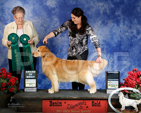 AOMBestVet-5459-WFOct2013-HR