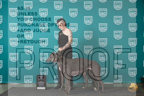 Greyhounnds #104 #105 Judge Jennifer Landers__JP_0310_Premier_2024_HR3