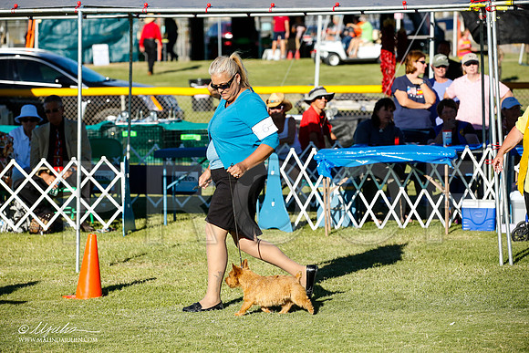 _JN_9945-AlamogordoOct2014-HR3