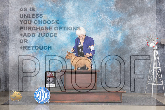 Norwich Terrier #6 Fri G2 Judge Jon Cole__JP_5433_Amarillo_2024_HR3