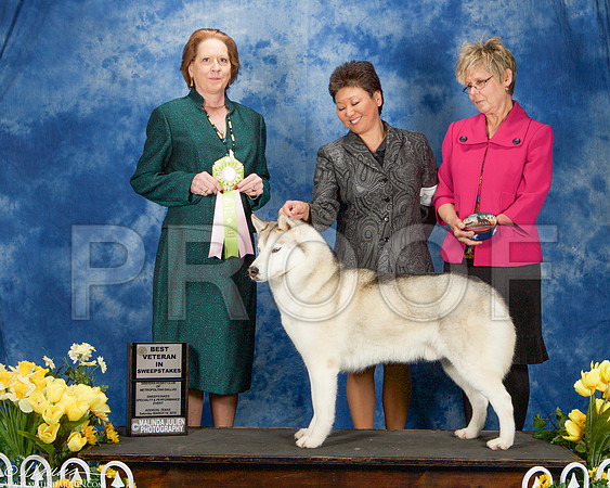 _ST_4114-AddisonHuskyMar2015-HR3