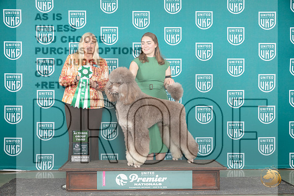 Poodle Std #1260 Sun G3 Judge Kathie Short__JP_3436_Premier_2024_HR3