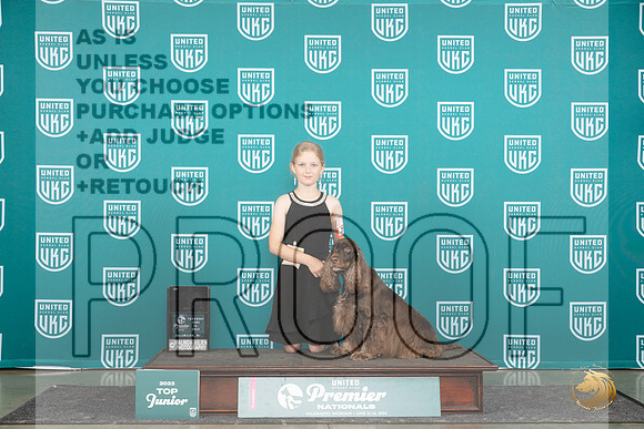 Field Spaniel #758 Thurs JrF Judge Diane Price__JP_1288_Premier_2024_HR3