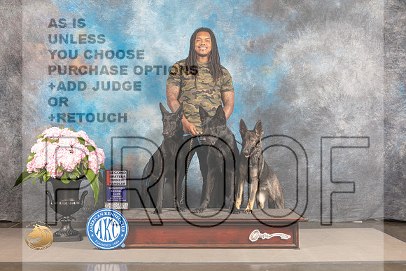 German Shepherd Dog #15 THUR AOMH Judge Polly Smith_MJ_6442_Houston_2022_HR3