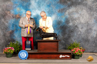 Dachsund Smooth Coat #21 Fri BOV Judge Michael Canalizo