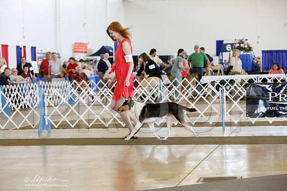 _CK_9523-DallasJul2014-HR3