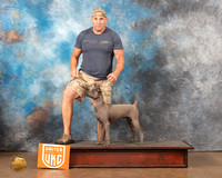Thai Ridgeback #207 r