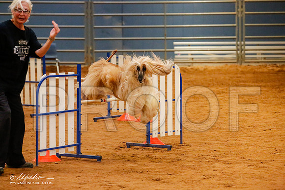 _JJ_5860-AfgBeltonOct2014-HR3