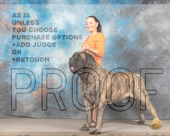 Mastiff #5 r BISMMJ_4077_Mdlnd2022_HR3