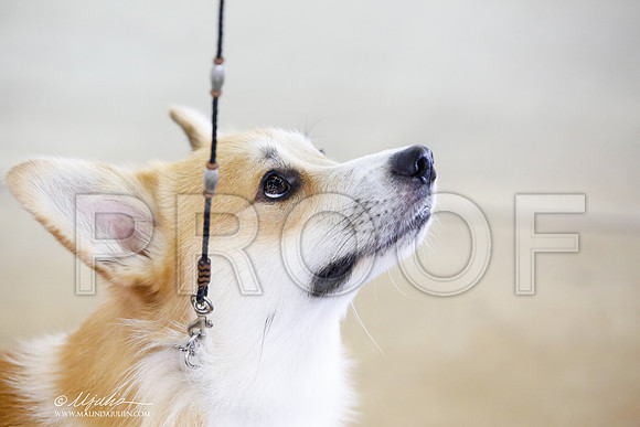 _CK_8774-DallasJul2014-HR3