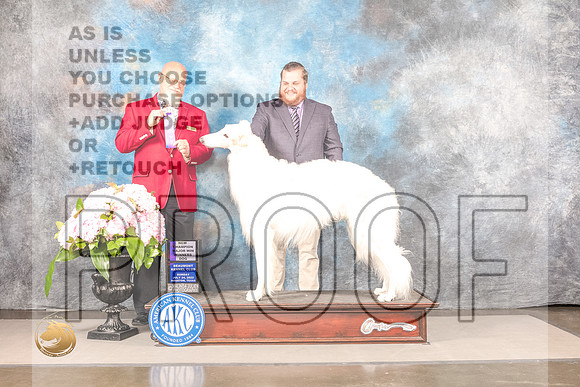 Borzoi #11 Sun WD Judge Jeff BazellBorzoi #11 Sun WD Judge Jeff Bazell_MJ_7734_Houston_2022_HR3_Houston_2022_HR3