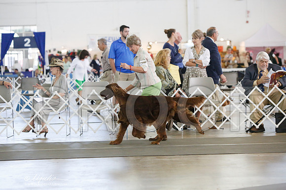 _JJ_0016-DallasJul2014-HR3