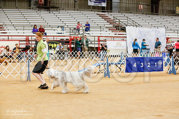 _HR_0088-TxArJun14-HR3