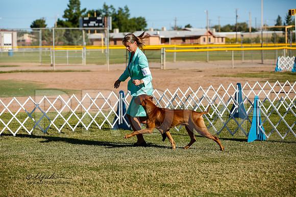 _JJ_2157-AlamogordoOct2014-HR3