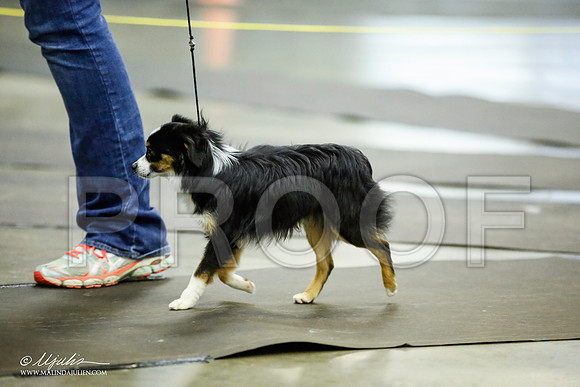_JJ_6738-BeltonJan2015IABCA-HR3