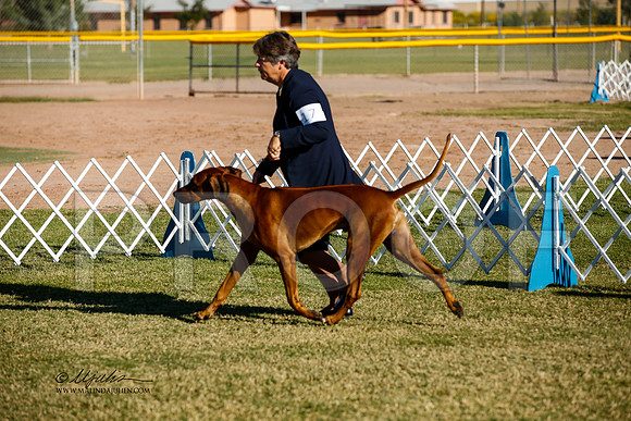 _JJ_2177-AlamogordoOct2014-HR3