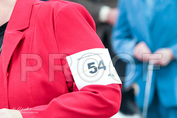 RBoV-6167